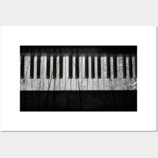 Winter Piano Posters and Art